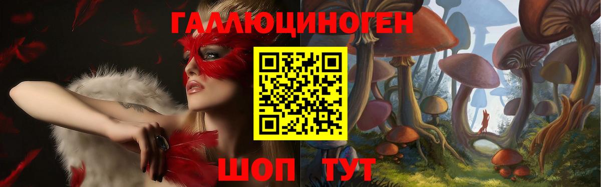 Псилоцибиновые грибы Psilocybe  Галлюциногенные грибы Psilocybe  Вход с VPN  Юрга 